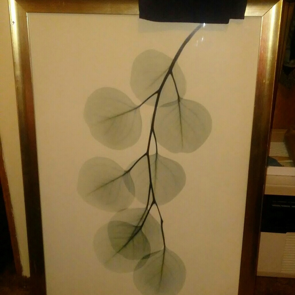 Wall picture